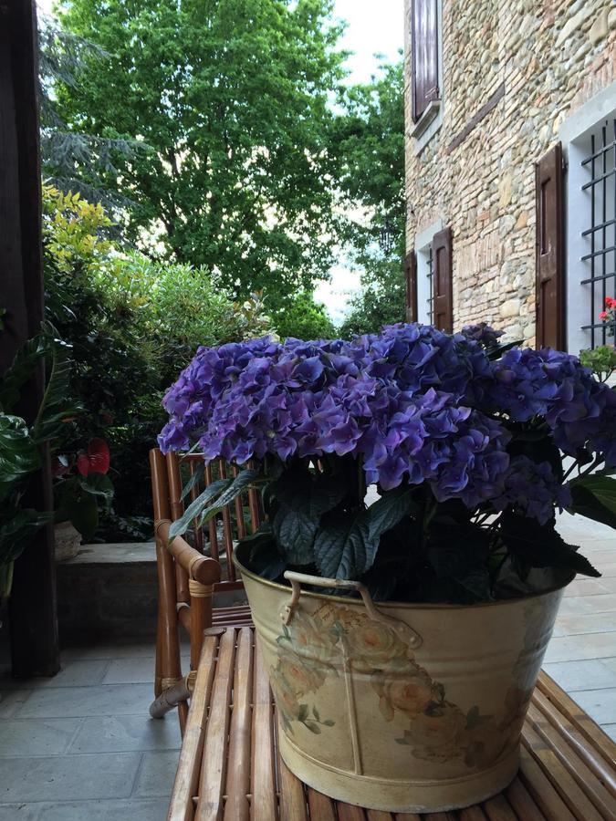 B&B Civico 7 Vignola  Dış mekan fotoğraf